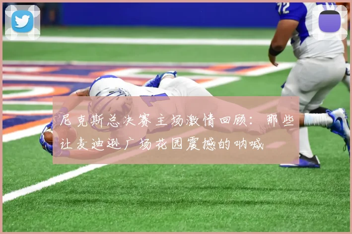 尼克斯总决赛主场激情回顾:那些让麦迪逊广场花园震撼的呐喊