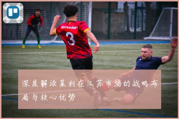 深度解读莱利在江苏市场的战略布局与核心优势