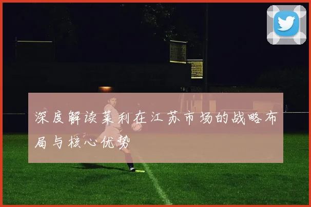 深度解读莱利在江苏市场的战略布局与核心优势