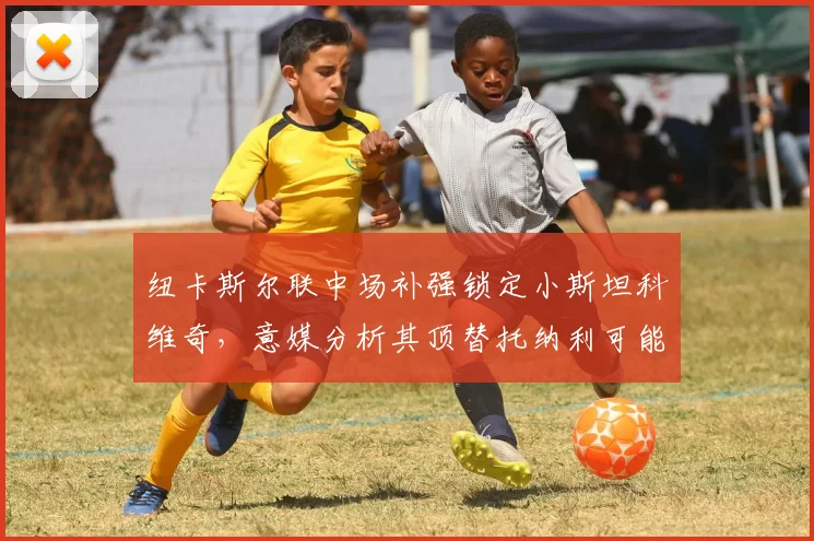 纽卡斯尔联中场补强锁定小斯坦科维奇,意媒分析其顶替托纳利可能性