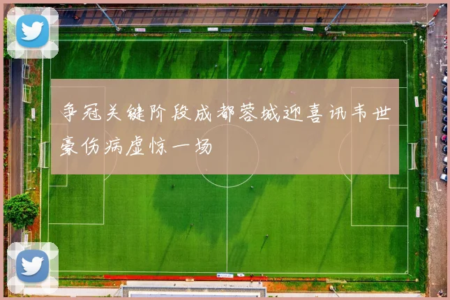 争冠关键阶段成都蓉城迎喜讯韦世豪伤病虚惊一场