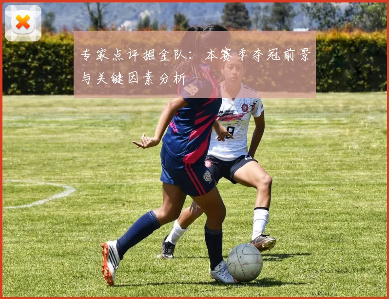 专家点评掘金队:本赛季夺冠前景与关键因素分析